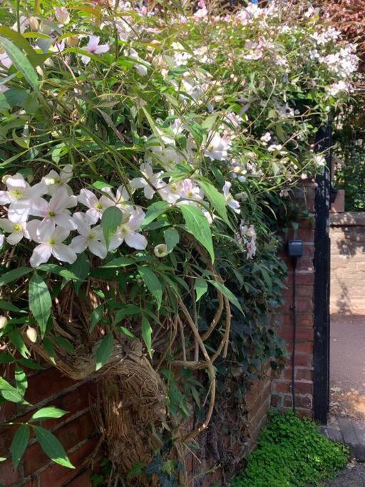 Beautiful Georgian Cottage Within A Private Walled Garden Oakham Esterno foto